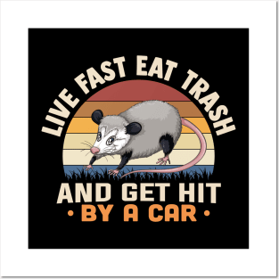 Live Fast Eat Trash And Get Hit By A Car Posters and Art